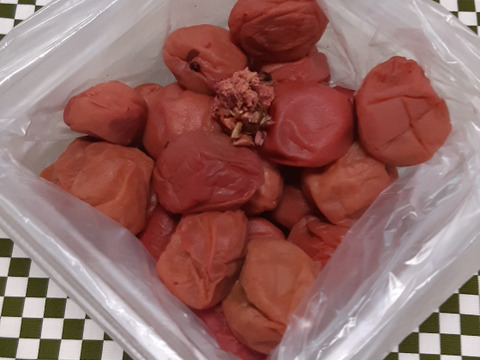 昔ながらのしょっぱい｢さくら｣梅干し　１kg（500gで25～30個）×２ﾊﾟｯｸ　※ご家庭用