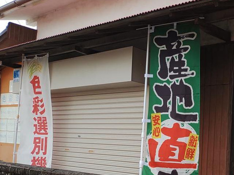 好評につき追加「12名様限定」　お米10Kｇ　令和4年産「はるみ」　冷めても美味しい