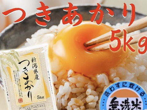 新潟県産　つきあかり  5キロ  無洗米  令和5年産　お米　(215)