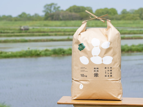 【新米】〈お米番付優秀賞農家〉特別栽培米ふっくりんこ玄米10kg（10kg×1袋）