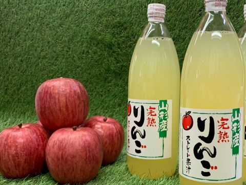★完熟蜜入ふじりんご★丸々ギュッと搾り100%りんごジュース《1L2本》