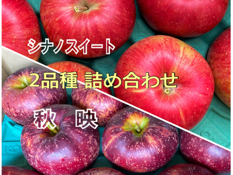 【夜市限定】秋りんご食べ比べセット　14個から20個