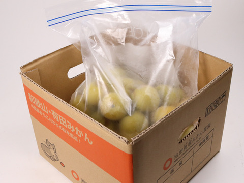 紀州南高梅 冷凍梅【訳あり・和歌山県産】0.5kg ※北海道沖縄配送不可