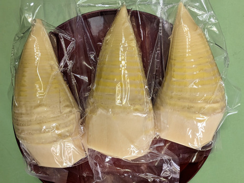 朝採り茹で筍900ｇ風味豊か筍ご飯がすぐ作れます（300ｇｘ3真空パック）