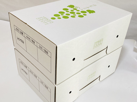 葡萄「シャインマスカット」　300g   4房入り　2箱セット