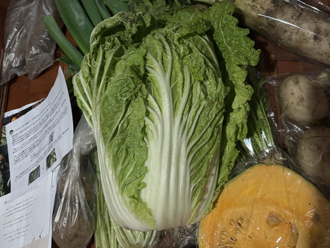 【福袋】今年一年の感謝を込めた冬の高原野菜セット