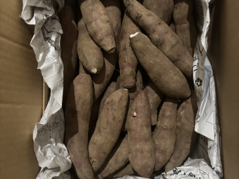 熟成ミニさつまいも！紅はるか！(1.8kg)【農薬不使用】