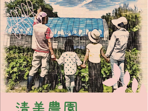 2024年　新鮮青生、唐辛子とうがらし(鷹の爪)　　期間限定品！500g(約150～180本)