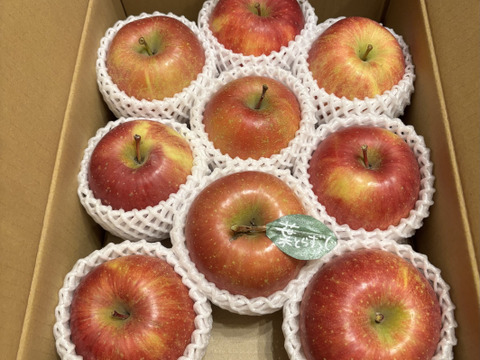 【冬ギフト】 🍎レビュー数1700件突破！！《家庭用》青森完熟葉とらずふじ８〜１２玉(約３kg)🍎ID119812