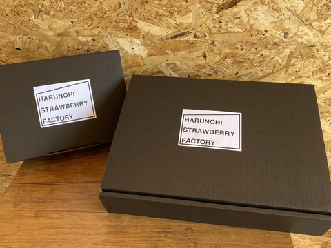 《ハルノヒのやよいひめ》デラックス（シングル）贈り物にもピッタリ♪大粒で甘くて食べごたえ抜群！大好評につき早期ご注文限定価格#早い者勝ち#配達指定日不可、ですが、ご相談ください