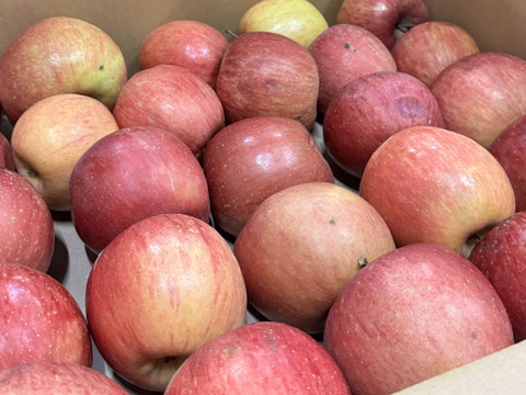 ★残りわずか★葉とらずサンふじ🍎訳ありバラ詰め 約５Kg　青森県産