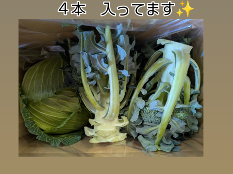 😊順ちゃんセット😊