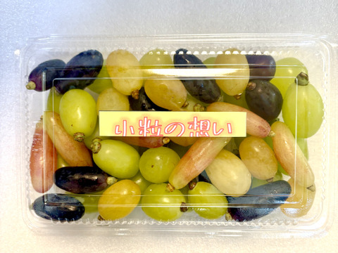 小粒系ブドウ　５種食べ比べ『小粒の想い』500g×1P　朝採り新鮮！夏の終わりのブドウ祭り 只今２０％増量サービス中！！