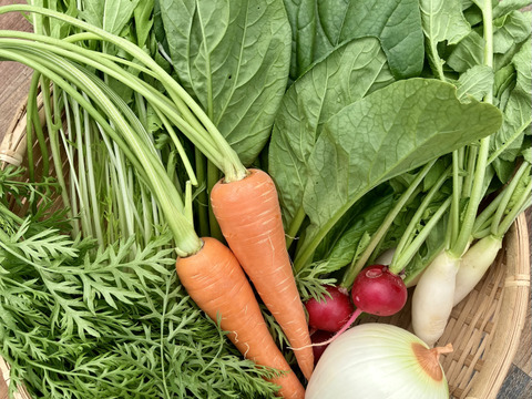 【食べチョクアワード受賞記念】朝採れ新鮮野菜＆有機玄米（白米）お試し2キロ詰め合わせセット