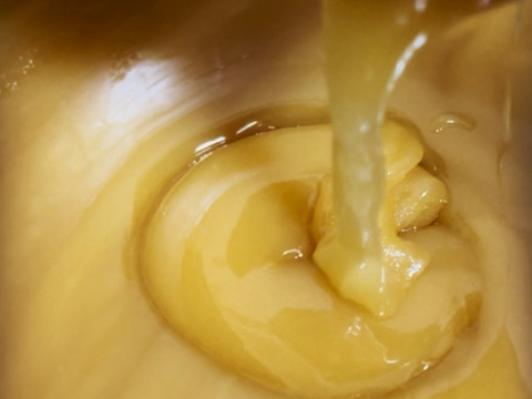 【福袋】野生日本蜜蜂の発酵蜜　生はちみつ110g 1瓶