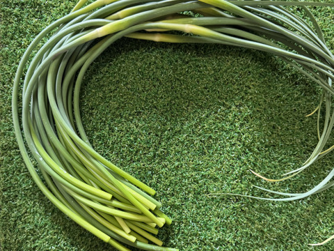 今が旬！にんにくの芽　群馬県産　有機肥料栽培　除草剤　消毒剤無使用