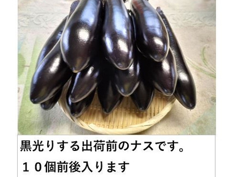 【福袋2025】夏野菜セット888〈トマト８、ナス８、キュウリ８〉