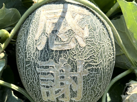 10名限定【完全予約制】名前入りメロン　（ペルルメロン）
