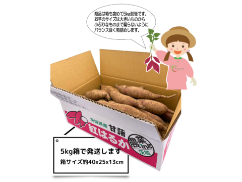 【完熟芋】６ヶ月熟成しました
　糖度18度以上　紅はるか（5kg）