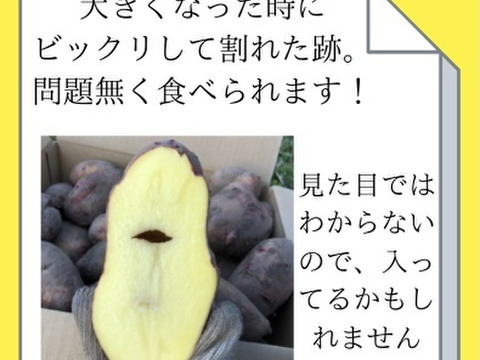 10kg”グラウンドペチカ！ほんと美味しいじゃがいも！【ラスト5個限定】毎年即完売！うまい野菜！！自然栽培！農薬不使用！固定種！訳あり