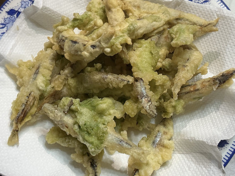 きんなご（約1kg）とあおさ（約400g）、お味噌汁、お吸い物セット