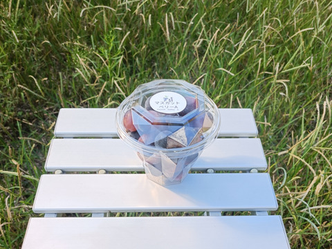 ぶどう粒5種、食べ比べセット300g×5p
(クイーンニーナ、ピオーネ、翠峰、マスカットベリーA、若木の小粒完熟シャインマスカット)