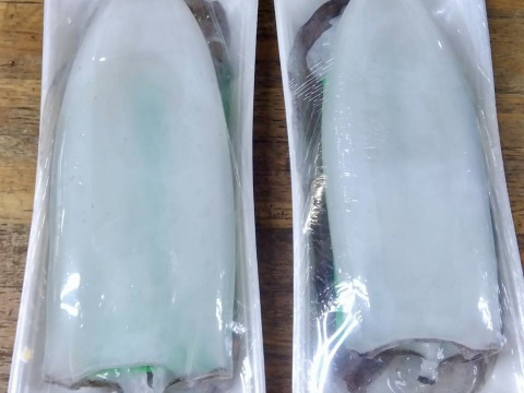 【鮮度抜群】天草・牛深産 釣りアオリイカ（下処理済み・急速冷凍） 700g〜1kg