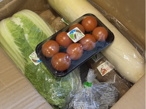 定期便設定（お届け日は２～３日前後します）【たっぷりいろいろ　２０００円セット】農家人が選ぶ旬野菜のおまかせセットです。季節ごとの旬の世界農業遺産ブランド野菜を厳選してお届け致します。