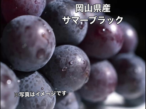 岡山県産✨サマーブラック🍇2kg（3房〜4房）甘くて美味しい😋園主オススメ🎶