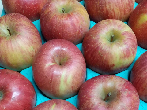 サンふじ7～12個入り３キロ🍎