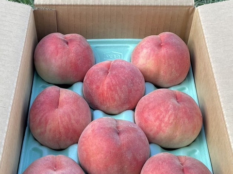 ★爽やかな夏ギフトにぴったり♪ 山形県の農園から直送まどか 3kg 【８玉～11玉】入り