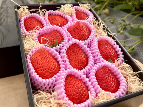 【日時指定・熨斗可】雪国が育てた「鮮烈」な紅の輝き。寺本果樹園の厳選プレミアムいちご（400g）（8〜15粒）【冬ギフト】【福袋】【ゲン担ぎ福袋】【イチゴ】