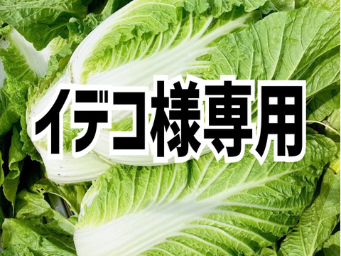 イデコ様専用‼️【お待たせしました‼️今年も販売します‼️】白菜を箱いっぱいにしてお届け。