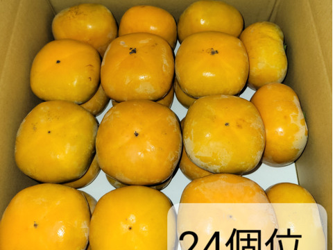 【秋の味覚】和歌山県産　たね無し柿(刀根早生)　A品L~2Lサイズ　5kg。