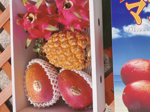 【夏季限定】沖縄まるごと！！おまかせフルーツセット約2,5kg