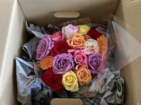 ご家庭用大特価バラのアソート