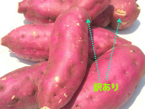 紫いも　有機肥料のみの栽培 11年 千葉県香取市産　紫芋10kg箱 訳あり　土付き