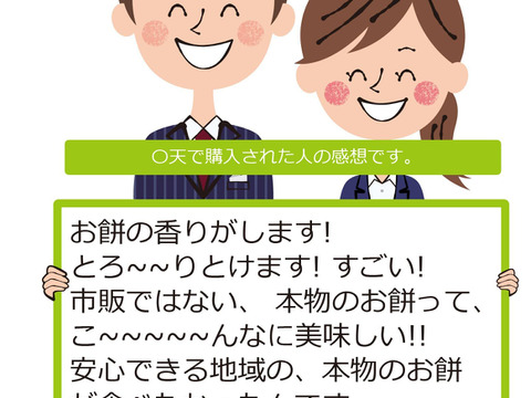 正月餅 生餅 もち米100% 丸もち 30個  約1.2kg ご注文最終12月23日 発送は年末12月24～27日につきたて発送 杵つき ひめのもち  岡山の雪国 ひるぜん農園 nama30