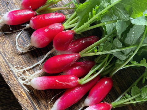 お料理の幅が広がる！ 季節の西洋野菜 Italian selection 60サイズ