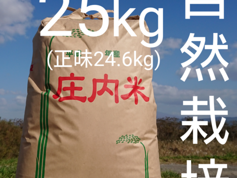 【 玄米・25kg 】米の旨味たっぷり 自然栽培米 ササニシキ