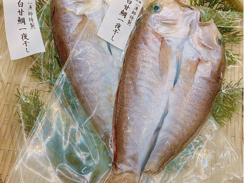 【超高級魚】白甘鯛の一夜干し5pc