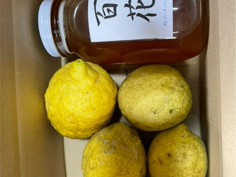 檸檬2キロと百花国産純粋蜂蜜1.2キロ