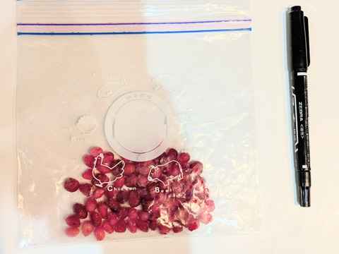 ざくろ ザクロ の実50粒 ※皮をとった採れたての実を冷凍保存したもの☆クール便☆農薬、化学肥料、除草剤、動物性肥料等不使用☆自然栽培☆国産ざくろの実◆冷凍便でお届け