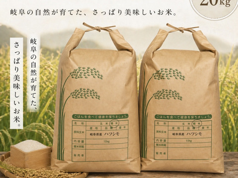 岐阜のお米！ ハツシモ 1等米 白米20Kg(令和7年産) ヘルシー米