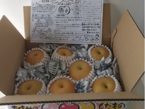 令和8年9月発送【予約】梨 南水 良品　3kg 長野県産　大好評‼️