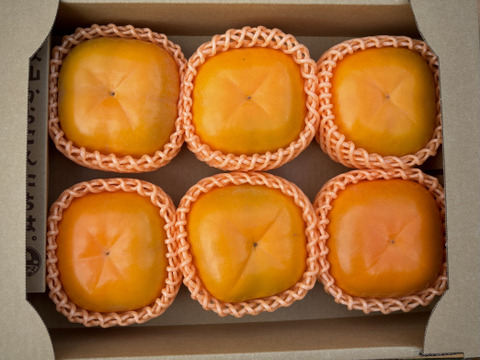 【送料500円引き🍂】数量限定⭐️ どすこい！大きさ横綱級。 超特大ひらたねなし柿🟧　5L以上 6玉入り（家庭用）
