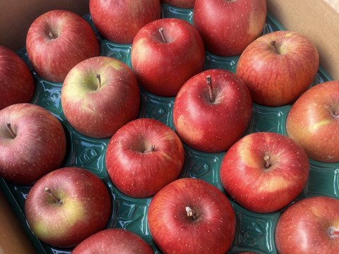 《予約商品》１月中旬～ 小傷 小玉サンふじ 5キロ箱 23～25玉 長野県産