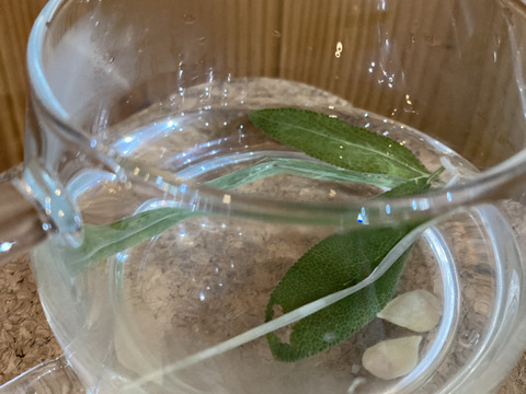 【傷あり】高知県産ゆず1㎏　 ＃栽培期間中農薬・化学肥料不使用