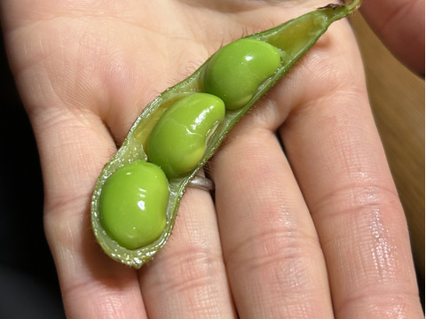 【期間限定】甘い！自然栽培枝豆『音更大袖振大豆』（500g×2p）