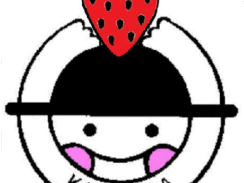 人気品種の大玉いちご！厳選２品種食べ比べセット！！（18～24粒）